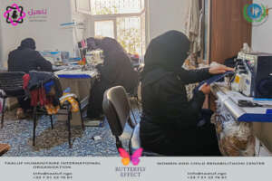 The butterfly effect in Syria
