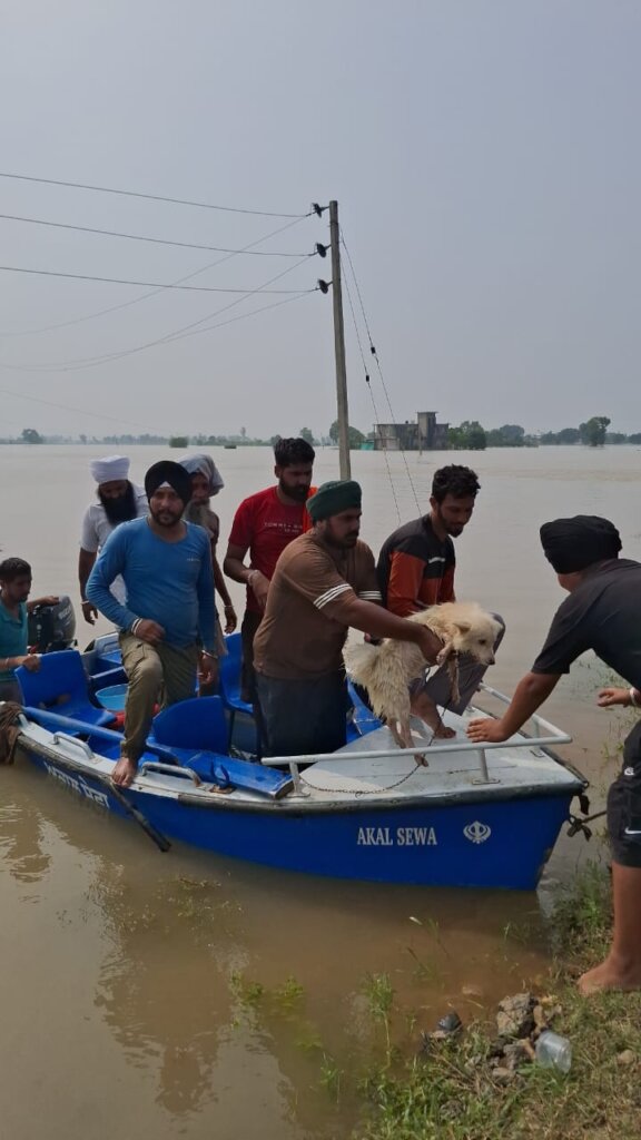 Flood Relief & Rehabilitation Appeal for Punjab