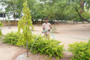 A child's initative to keep the environment green