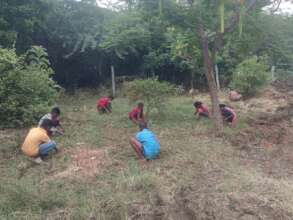 children preparing the field for new saplings