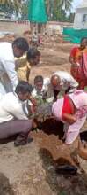 Old picture of saplings planted by school student