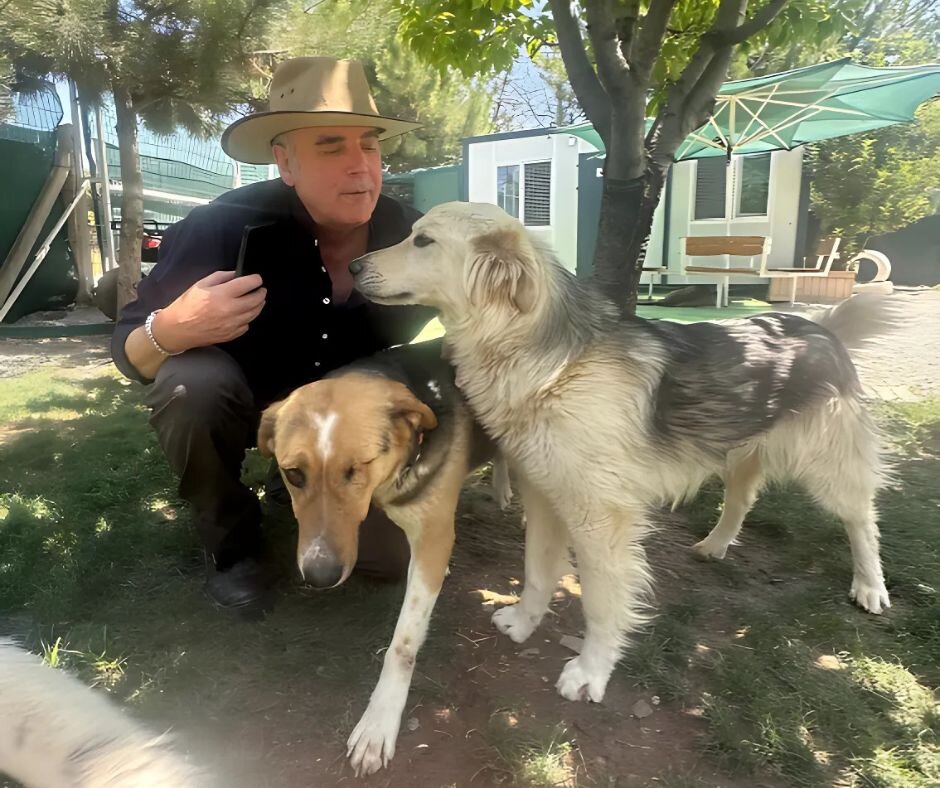 Paws of Hope Building a Lifeline for Ankara's Dogs