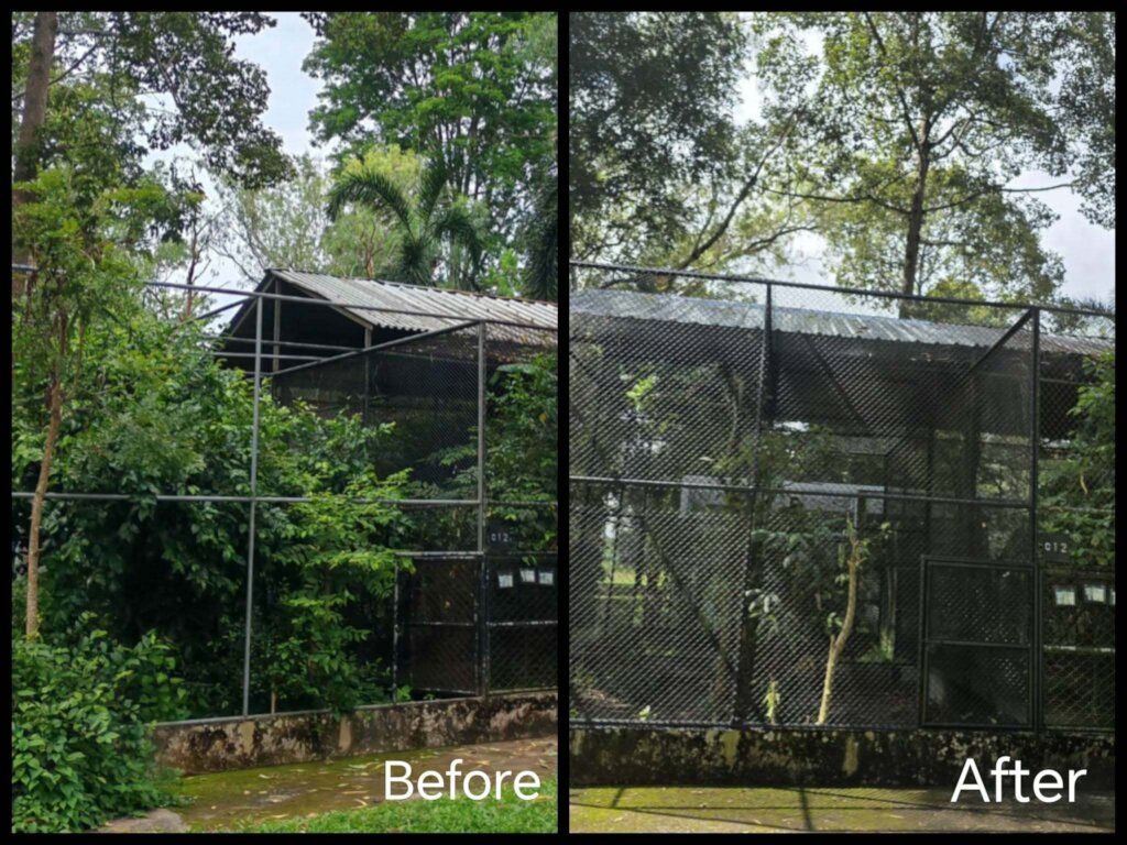 Before and After renovations the large enclosures