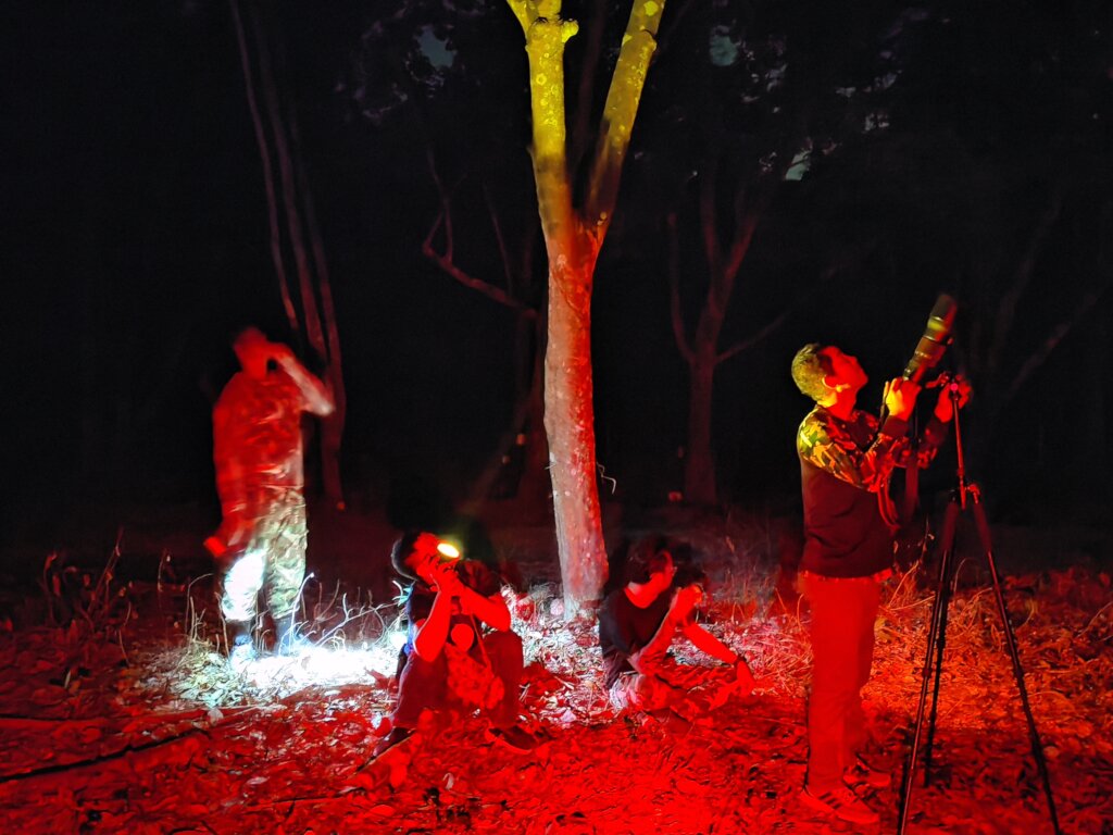 Observation of lorises with the KKKC'S rangers