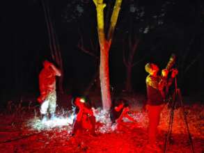 Observation of lorises with the KKKC'S rangers