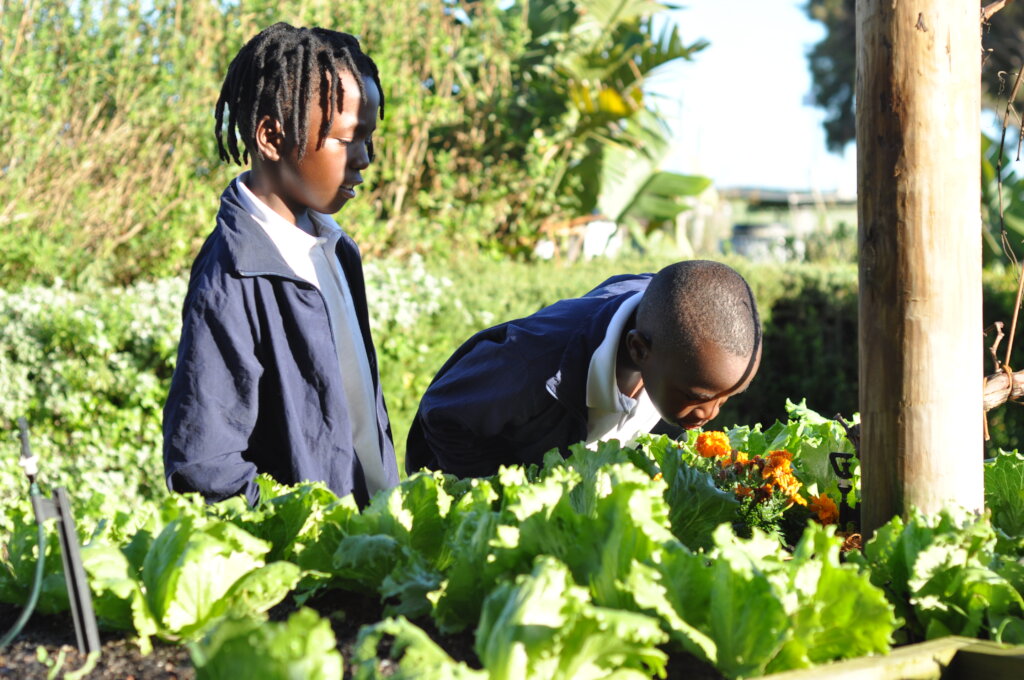 Emergency Appeal: Secure Our Primary School