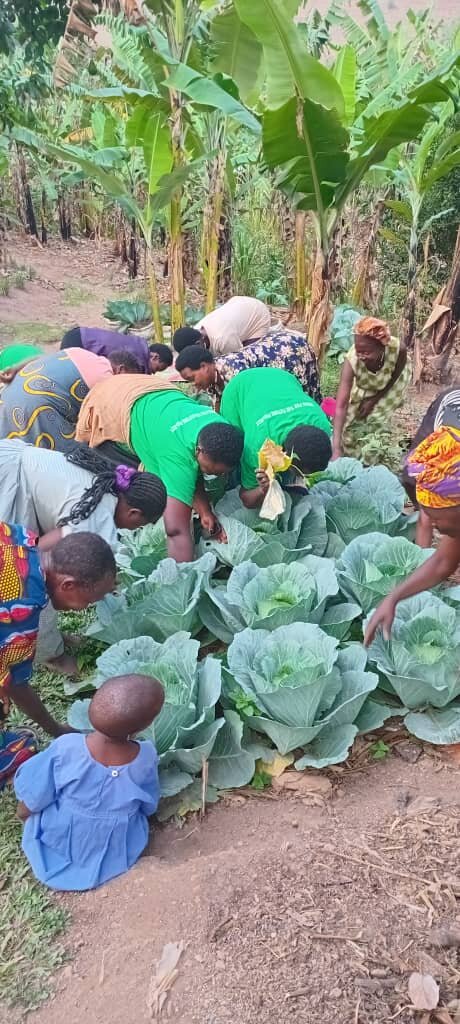 Empower Women Care Groups in Kitchen Gardening