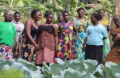 Empower Women Care Groups in Kitchen Gardening