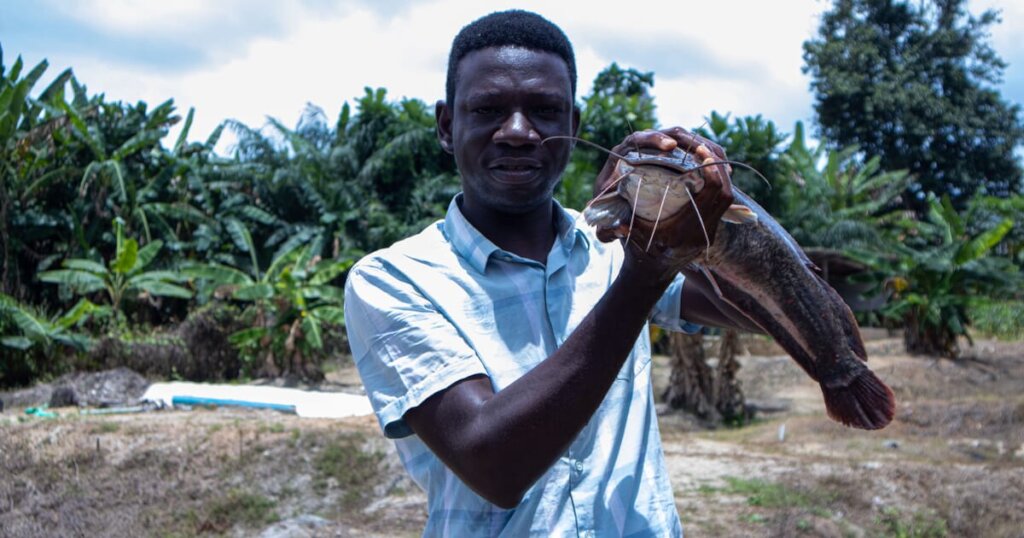 Create Jobs for Youth with Fish Farming in Nigeria