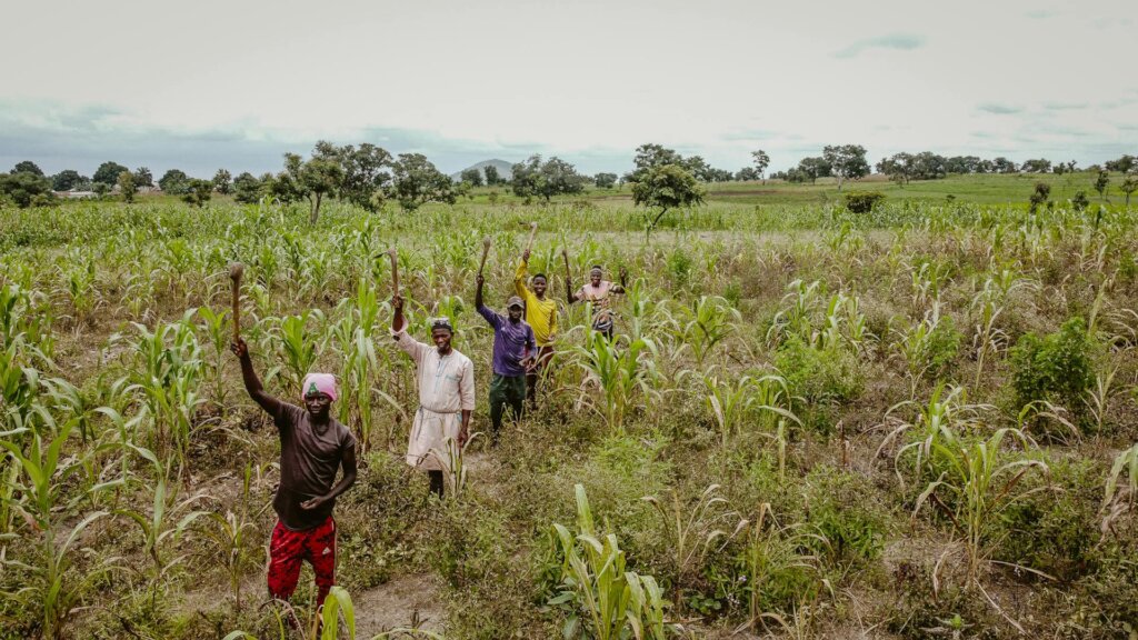 Provide Tools to Help Farmers Grow More Food