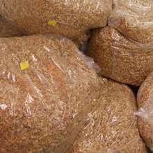 Peanuts ready to run through the machine