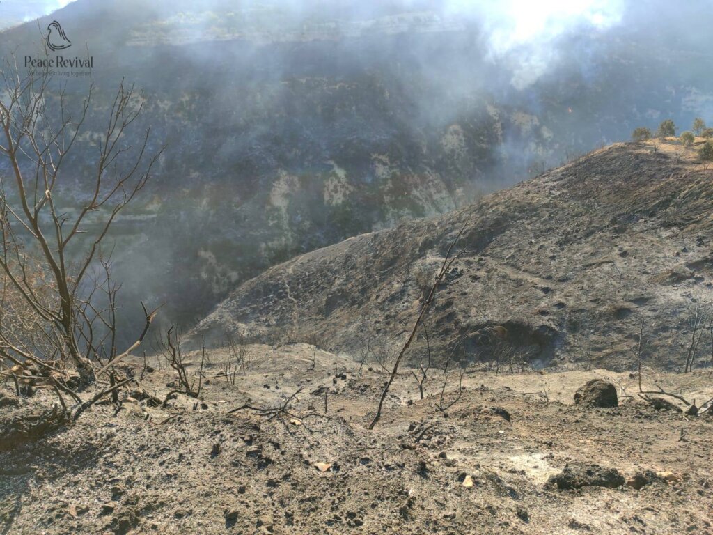 Help Syrian Farmers Rebuild Burned Farmlands