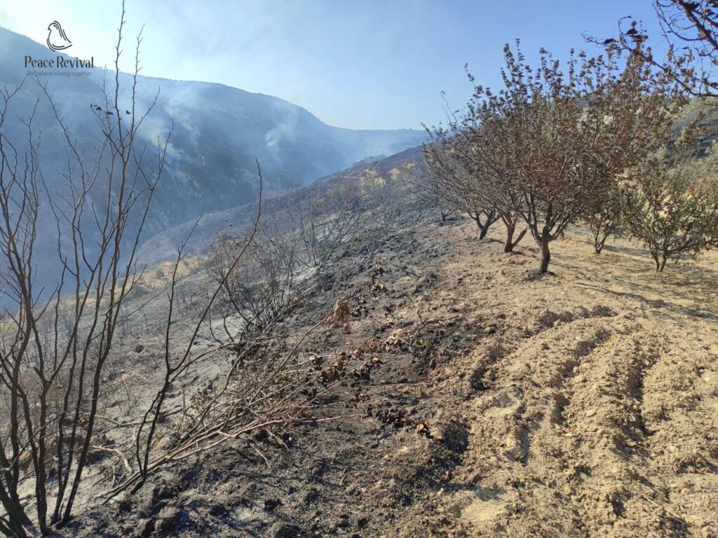 Help Syrian Farmers Rebuild Burned Farmlands