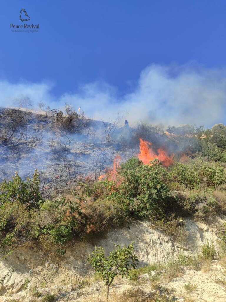 Help Syrian Farmers Rebuild Burned Farmlands