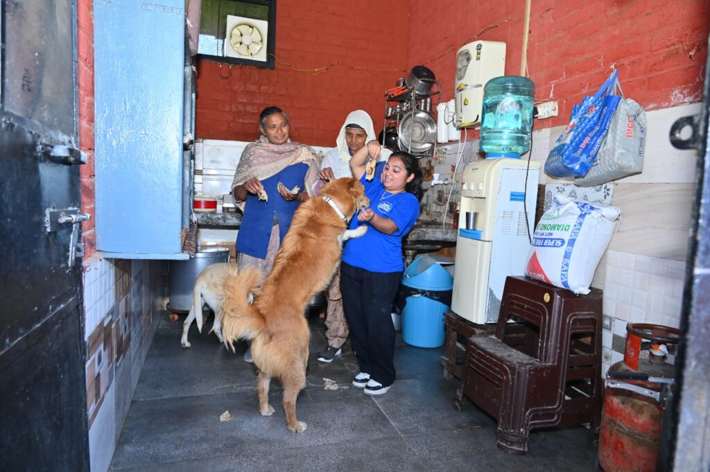 Expand Pawsitive Sanctuary to Save More Stray Anim