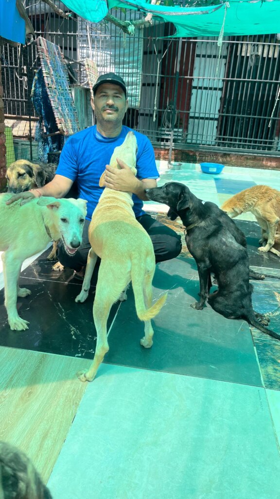 Expand Pawsitive Sanctuary to Save More Stray Anim