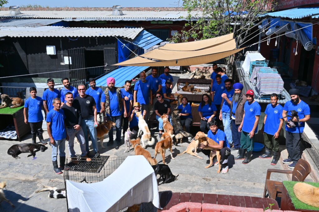Expand Pawsitive Sanctuary to Save More Stray Anim