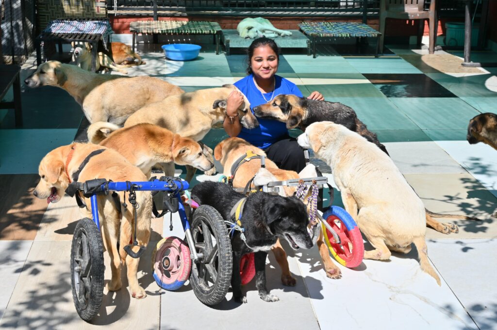 Expand Pawsitive Sanctuary to Save More Stray Anim