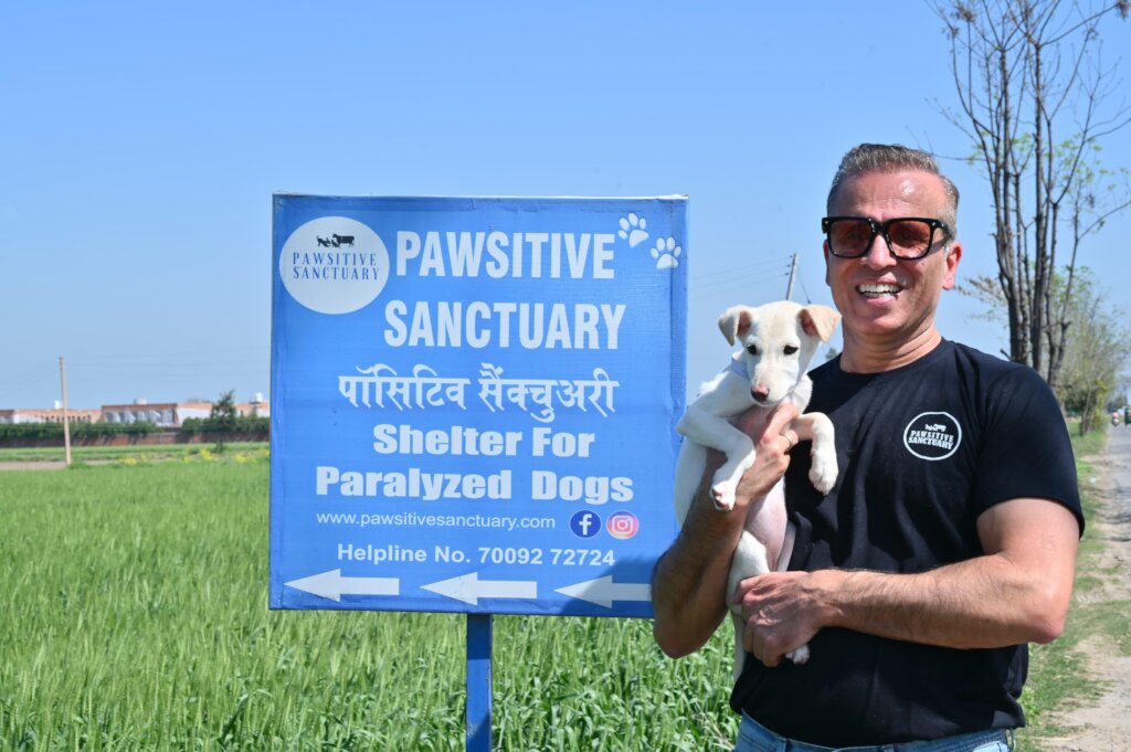 Expand Pawsitive Sanctuary to Save More Stray Anim