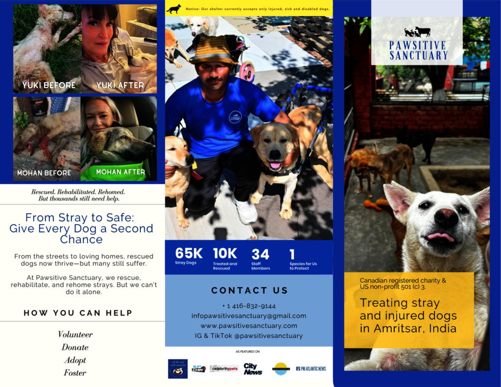 Donate to A Healing Sanctuary for Paralyzed Dogs GlobalGiving