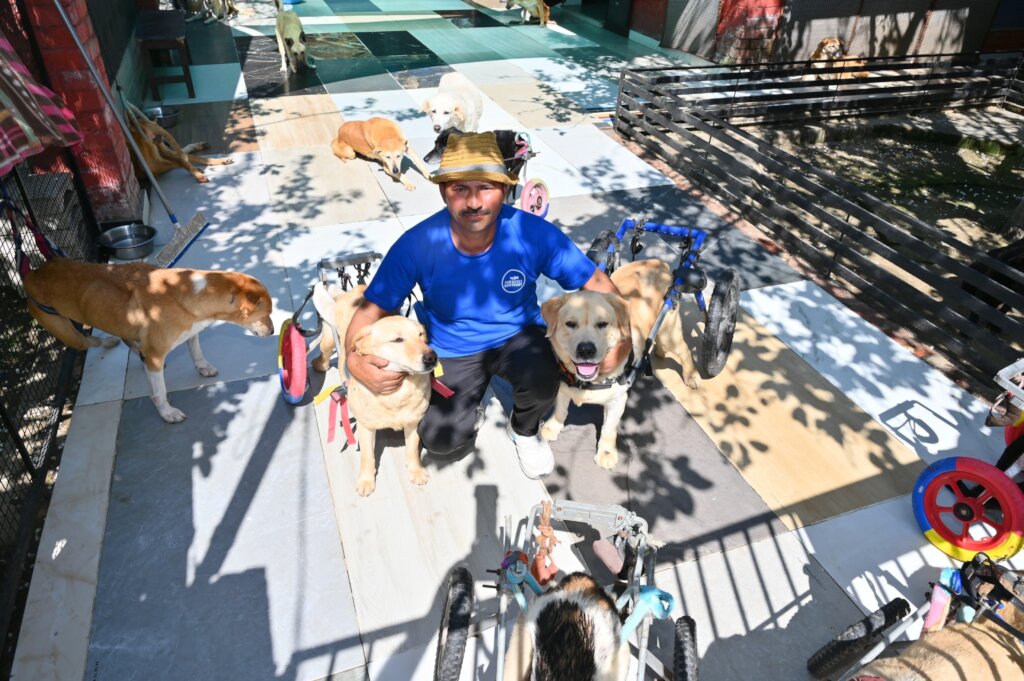 Expand Pawsitive Sanctuary to Save More Stray Anim