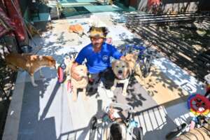 Expand Pawsitive Sanctuary to Save More Stray Anim