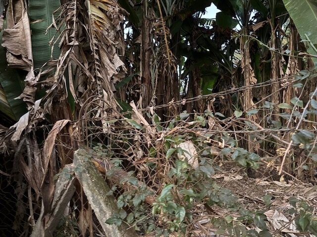 A Fence for Msamaria