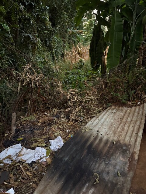 A Fence for Msamaria