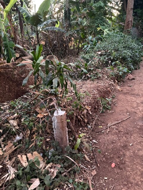 A Fence for Msamaria