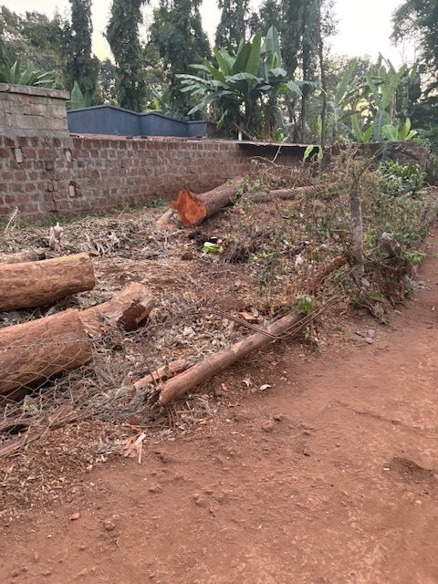 A Fence for Msamaria