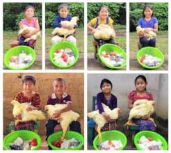 Christmas Meal Baskets