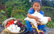 Gift a Holiday Meal Basket to 40 Maya Families