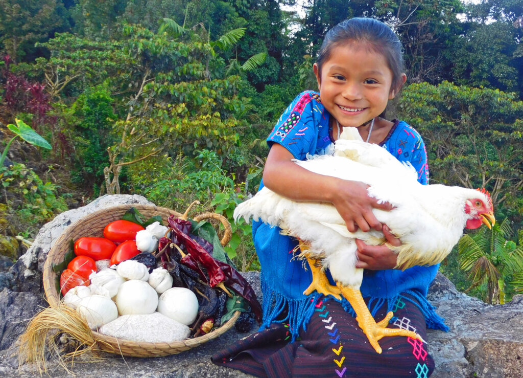 Gift a Holiday Meal Basket to 40 Maya Families