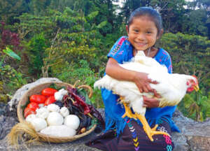 Gift a Holiday Meal Basket to 40 Maya Families