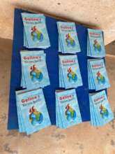 Golina's Glorious Quests in the hands of kids