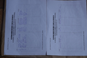 Participants List II