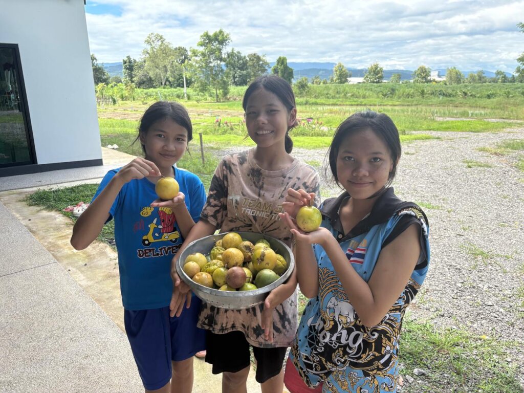 Picking Passionfruit at our Farm