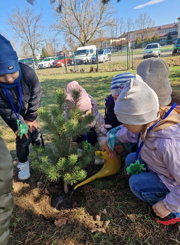 Mental Health Support for Preschoolers in Ukraine