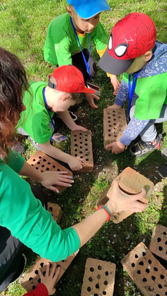 Mental Health Support for Preschoolers in Ukraine