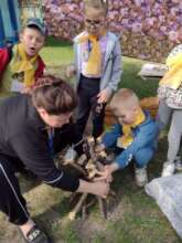 Children's session of the "Healing Forest"