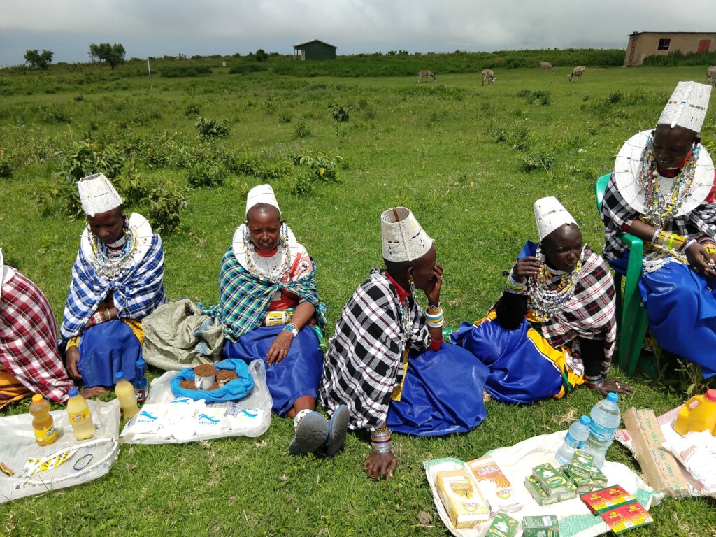 Empower Rural Tanzanian Women with Microloans