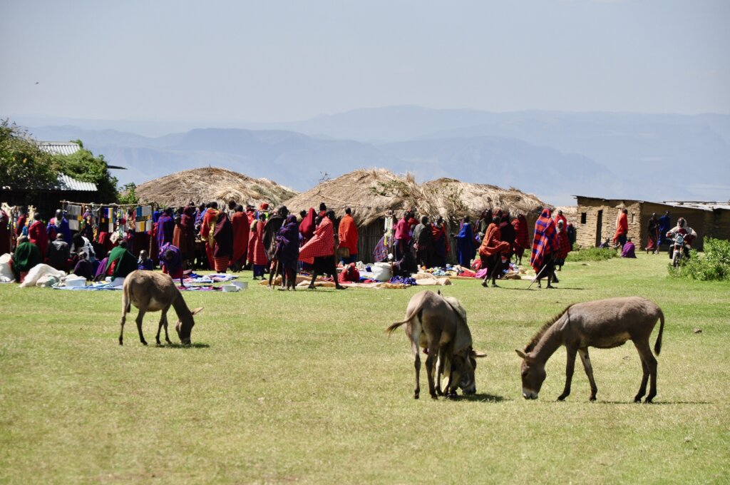 Empower Rural Tanzanian Women with Microloans