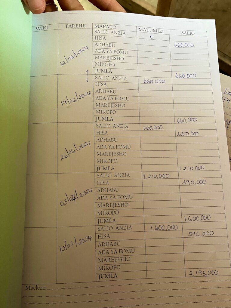 Empower Rural Tanzanian Women with Microloans