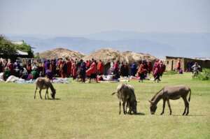 Market Day in Alailelai Village