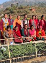 Give a livelihood support for 570 Marginal Women