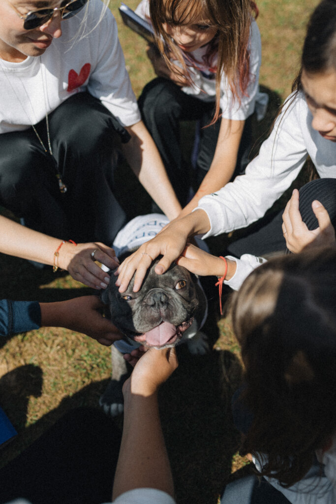 Mental heals support dog
