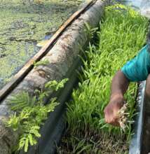 Food production support
