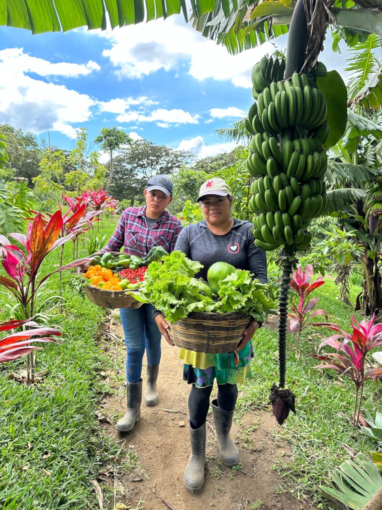 Helping 200 families out of poverty in El Salvador