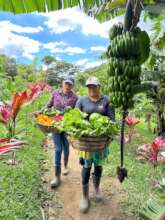 Farm workers in El Salvador