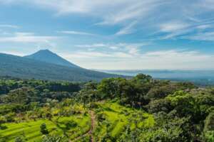 Helping 200 families out of poverty in El Salvador